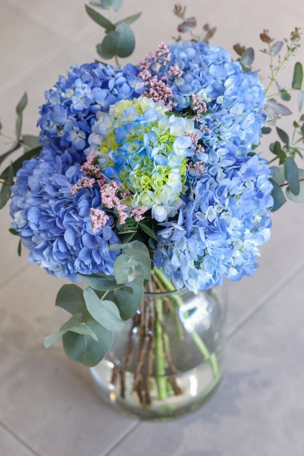 Ramo de cinco hortensias de color azul.