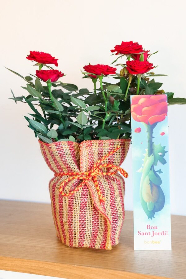 El Roser de Sant Jordi