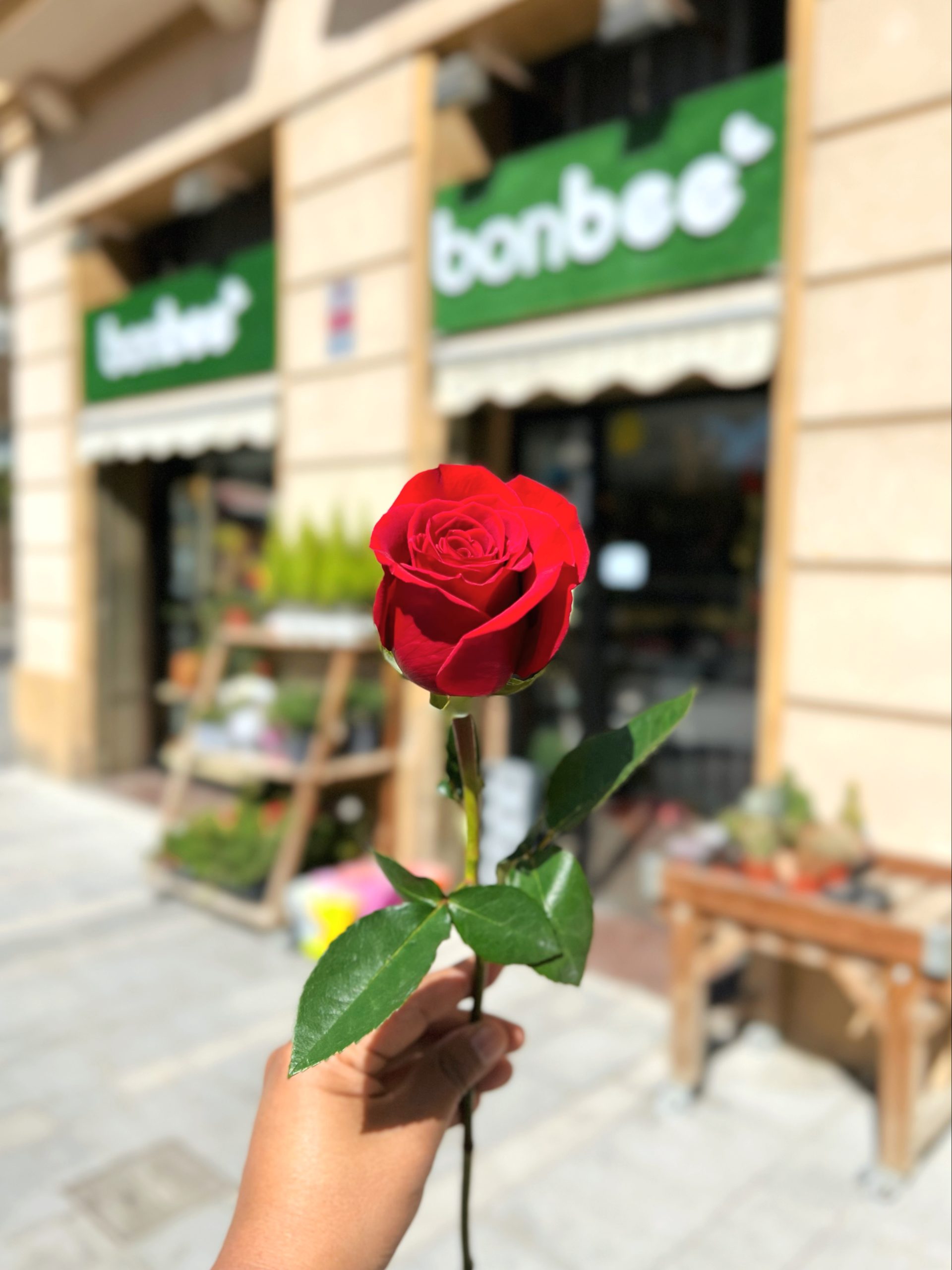 Conócenos • BonBee