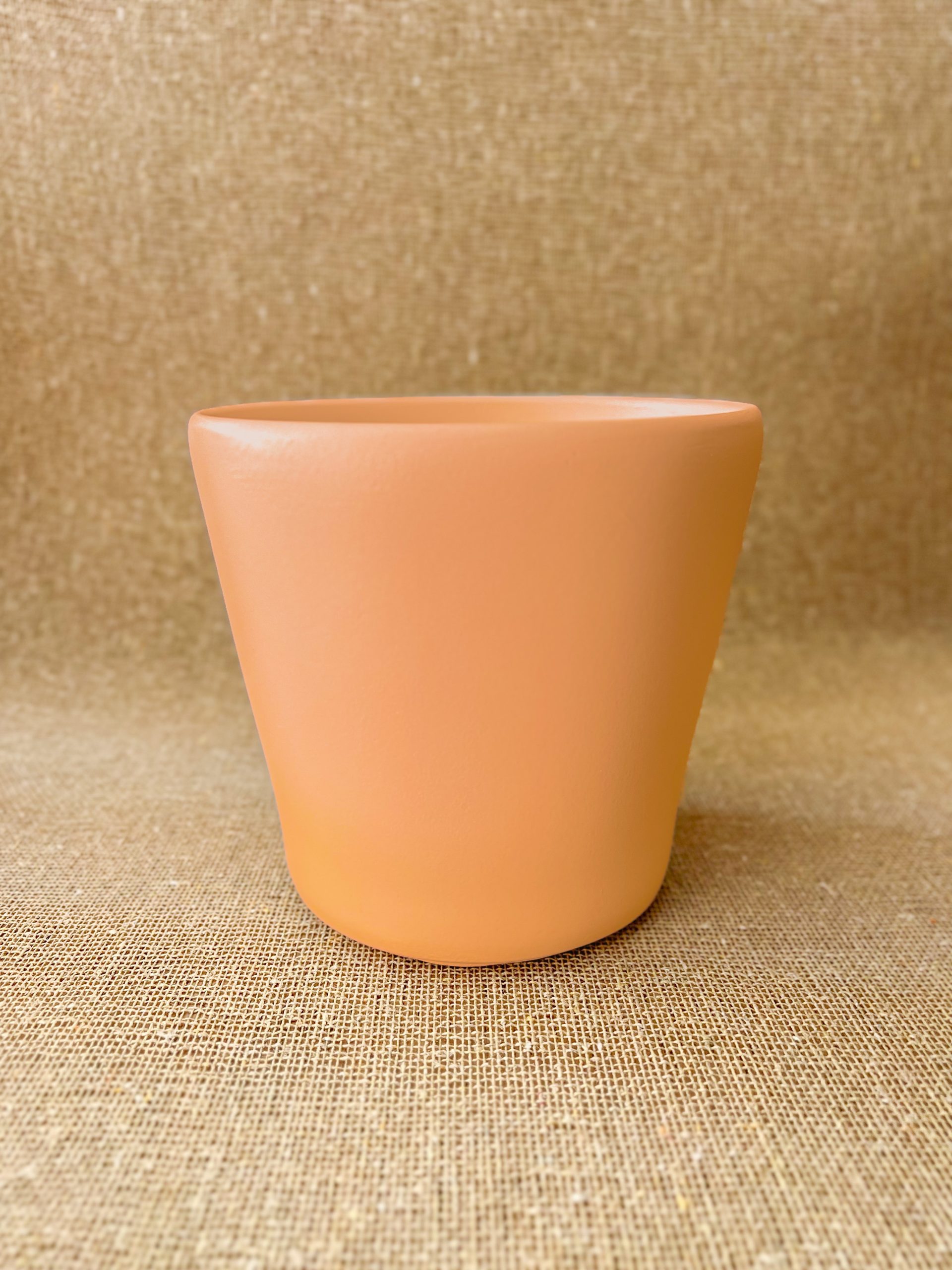 Send Orchid Plant At Home In Barcelona BonBee send-orchid-plant-at-home-in-barcelona-bonbee