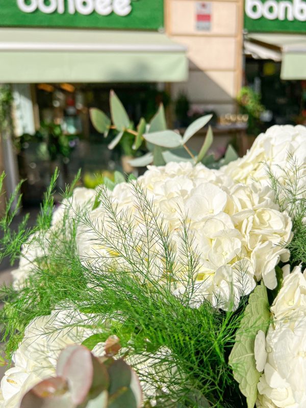 Ramo flores de hortensia de color blanco.