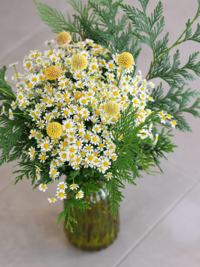 ramo mediano de tanacetum blanco con craspedia amarilla