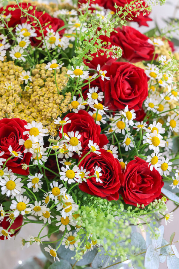 ramo de rosas rojas con manzanilla blanca