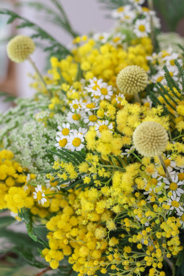 ramo de mimosa amarillo con verdes campestres