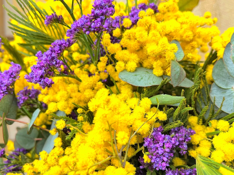 Flores y Tradición: El Día de la Mujer en el Mundo