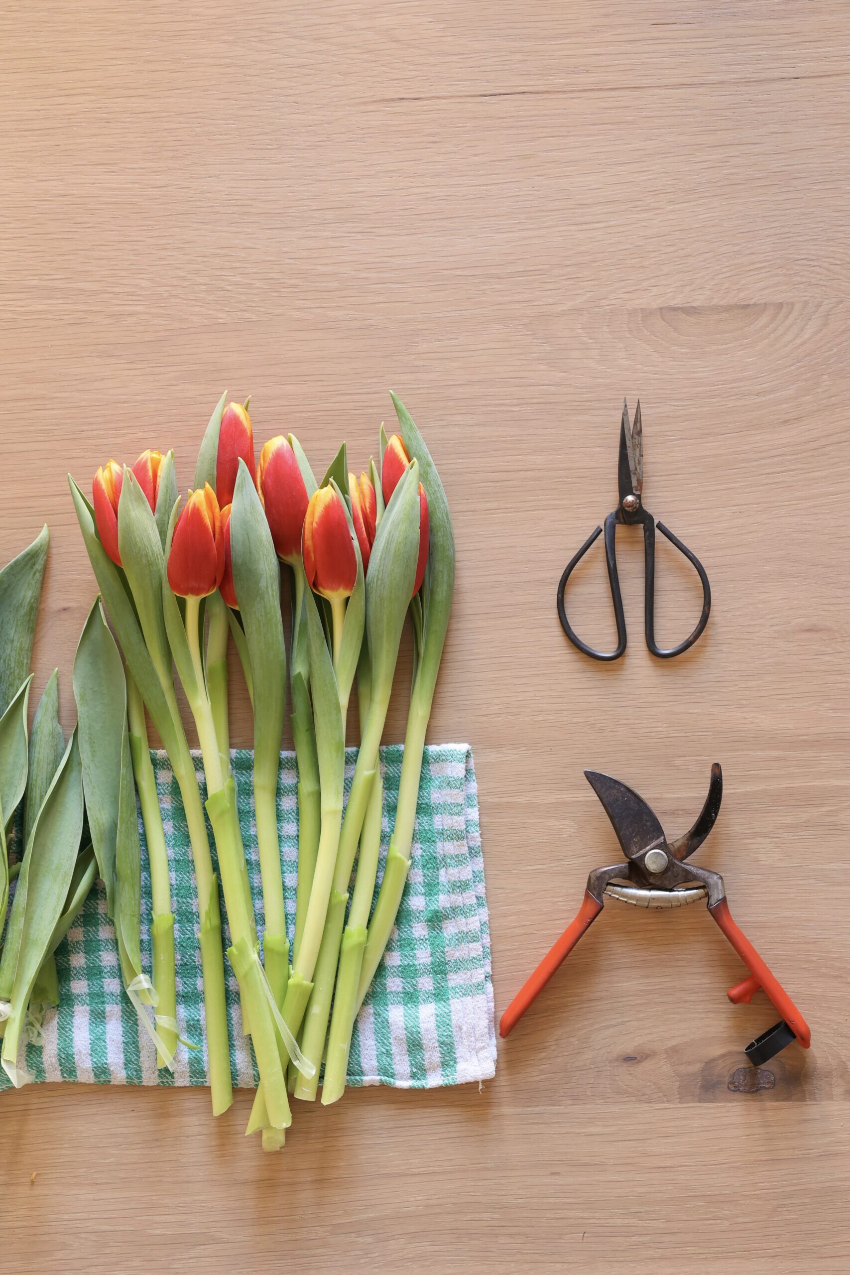 Long live your flowers (even in summer)